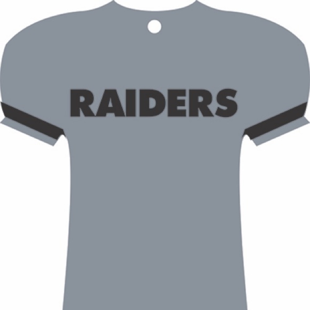 Raider Air Freshener Cool Ice Freshandwipe.com